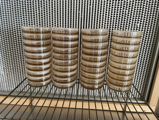 Sterilized Agar Plates