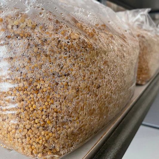 Sterilized Millet Grain.